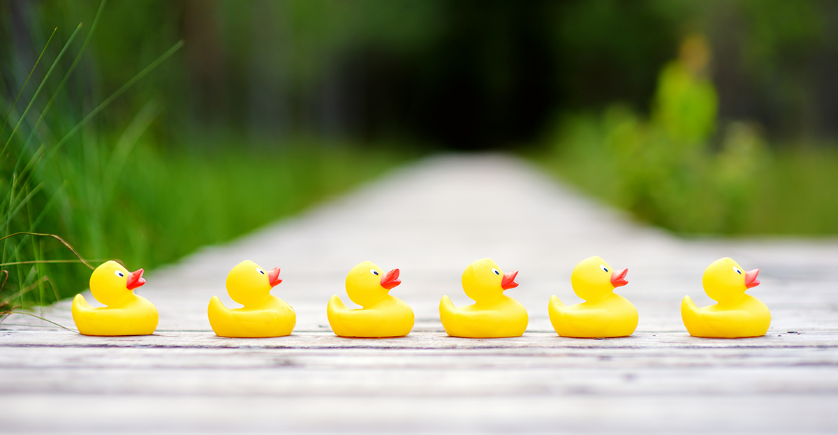 Ducks in a Row